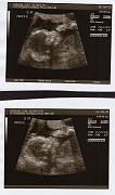 Scanned Photo-1